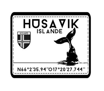 Plage de Huzavic Iceland illustration